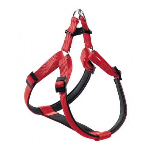 PETRAL DAYTONA Talla M