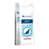 NEUTERED ADULT LARGE DOG 3.5 Kg.