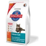 INDOOR ADULT con Pollo