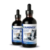KAMINOX