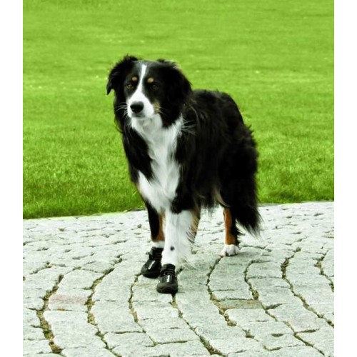 Botas Protectoras WALKER ACTIVE