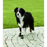 Botas Protectoras WALKER ACTIVE