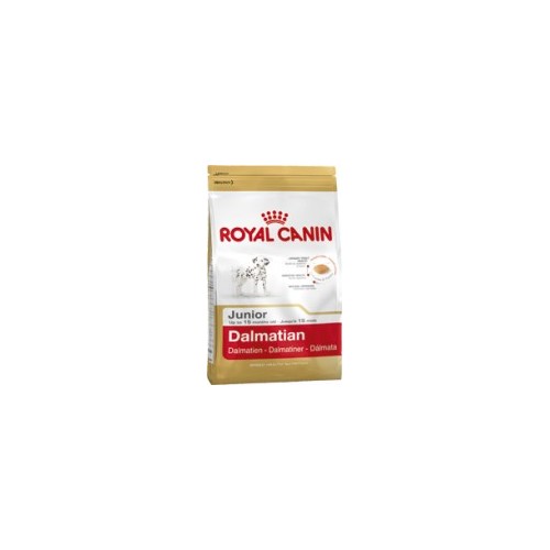 Dalmata Junior
