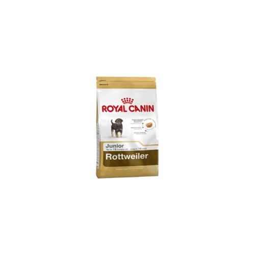 Rottweiler Junior