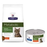 Feline Metabolic