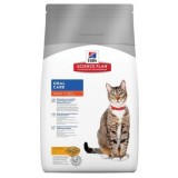 FELINE ADULT ORAL CARE 