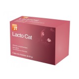 Lacto Cat