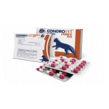 Condrovet Force HA Cats 45 capsules
