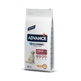 Advance Maxi Senior