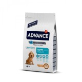 Advance Medium Puppy