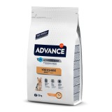 Advance Yorkshire Terrier Adult
