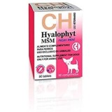 Hyalophyt (Small breeds)