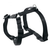 PETRAL CHAMPION Talla S