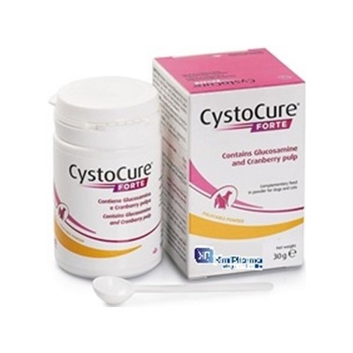 CYSTOCURE FORTE poudre