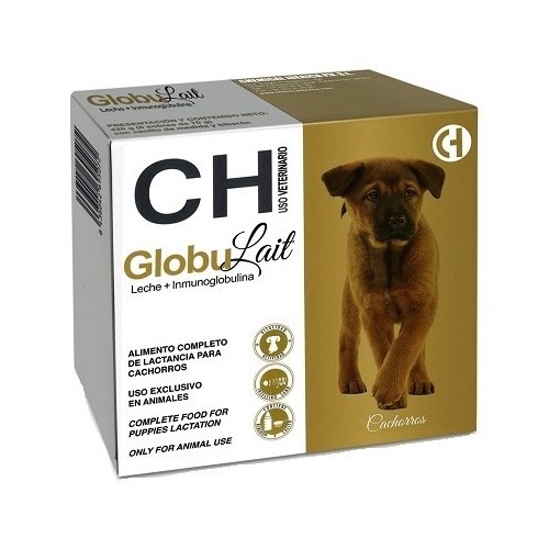 GLOBULAIT perro
