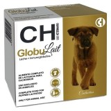GLOBULAIT perro