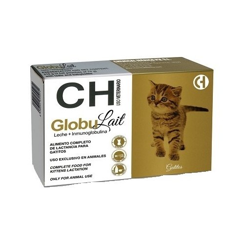 GLOBULAIT kittens