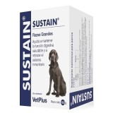 Sustain Grandes races 30 sachets