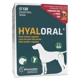 Hyaloral Large and Giant Breeds