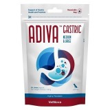 ADIVA Gastric Medium & Large 30 Chews