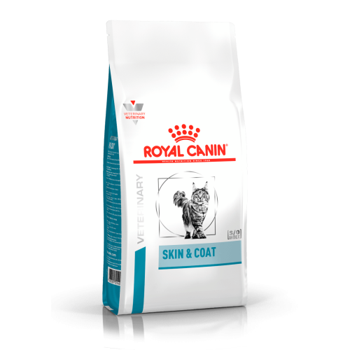 Skin & Coat Cat