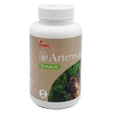 ARTENNUA 950 mg XL