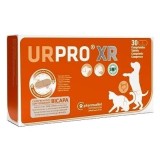 URPRO XR BICAPA