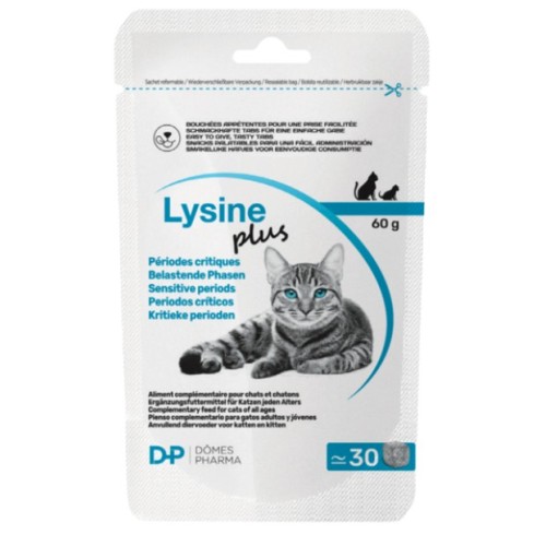 LYSINE PLUS 30 SNACKS X 2G