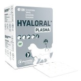 HYALORAL Plasma Raza Grande&Gigante
