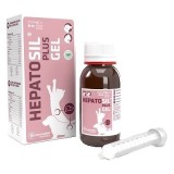 HEPATOSIL PLUS GEL