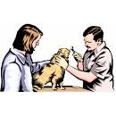 Adv. Veterinary Diet