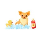 Dermatological shampoos